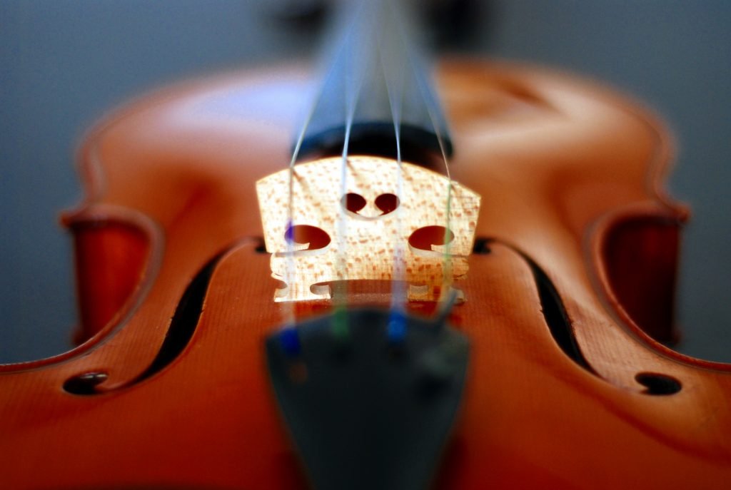 Purchasing a Violin - The Violin Place